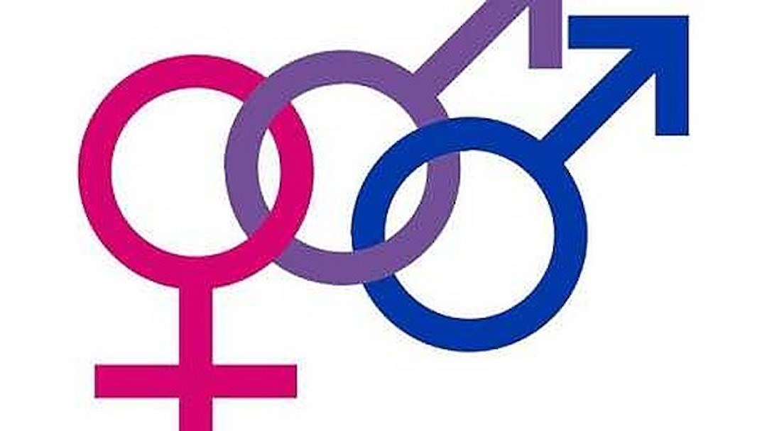 Biểu tượng của người song tính (Bisexual)